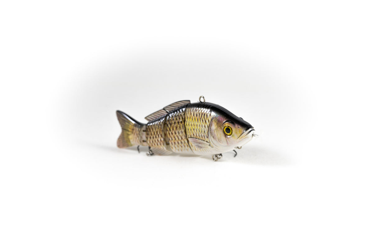 Common Carp Specialty – Animated Lure