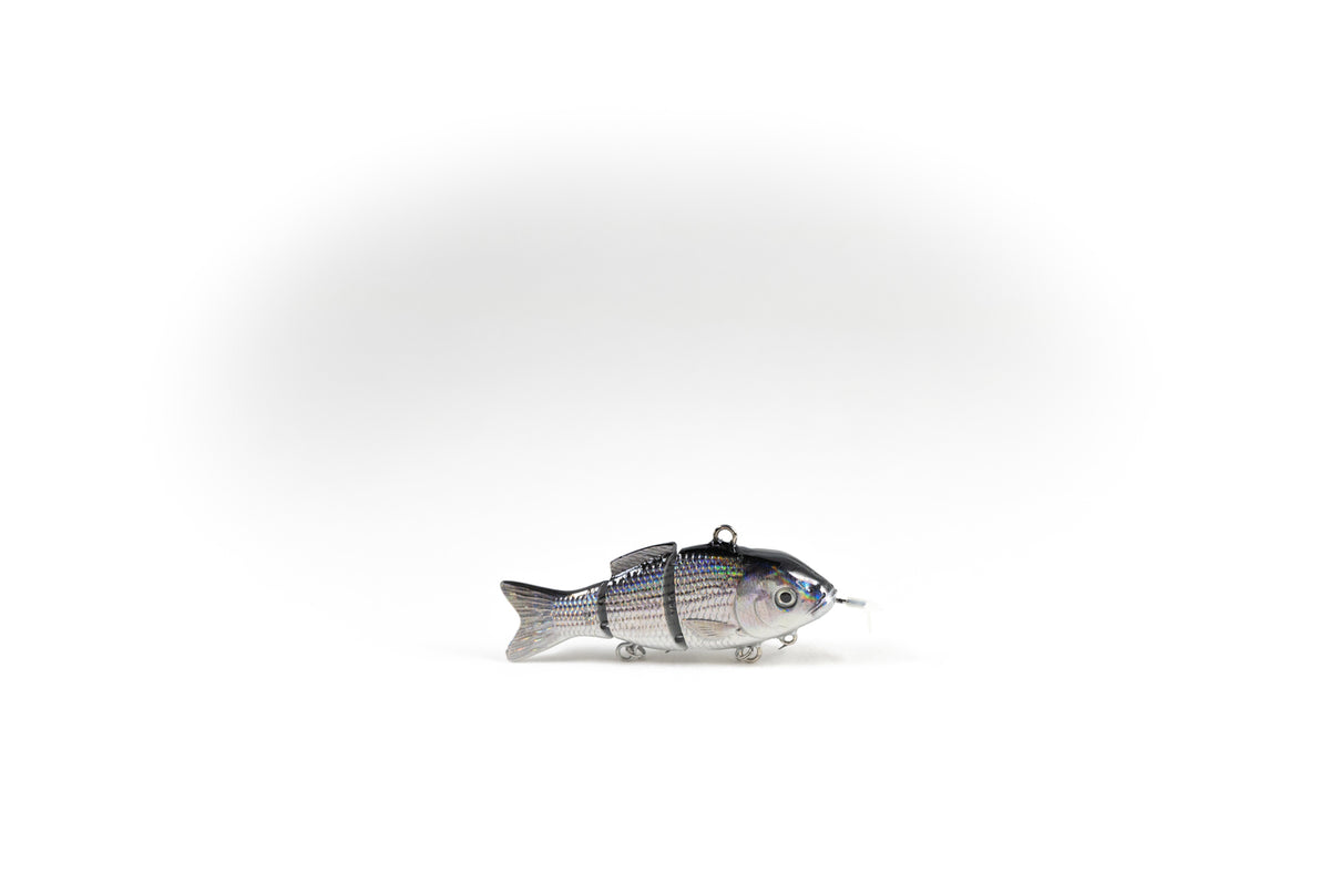 Hybrid Striped Bass Specialty – Animated Lure