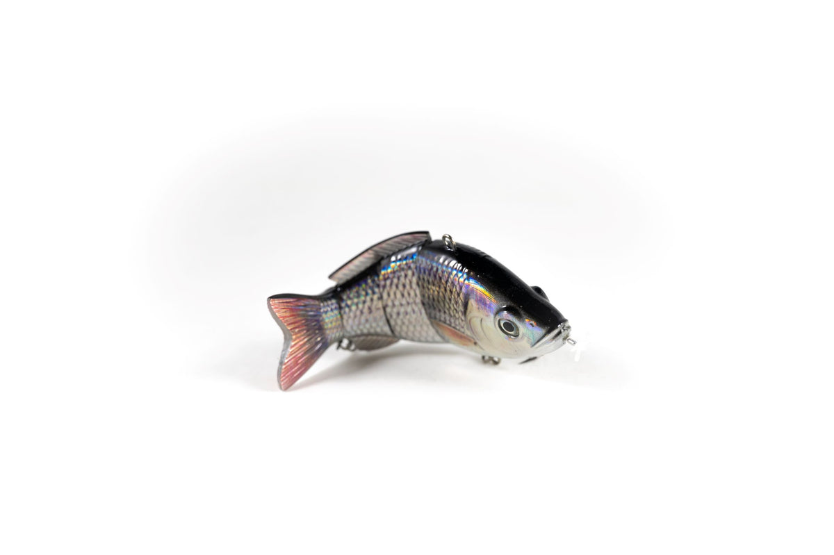 Red Tail Chub Specialty – Animated Lure