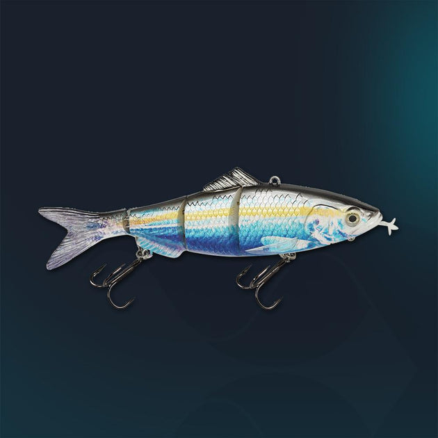 Saltwater Animated Lure