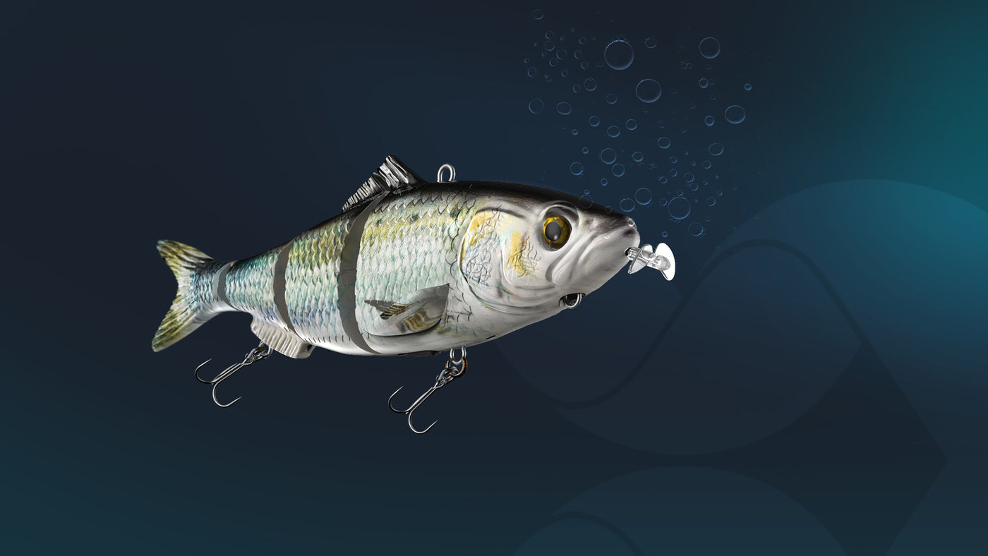 Animated Lure - the world's first self-swimming fishing lure Animated Lure - the world's first self-swimming fishing lure