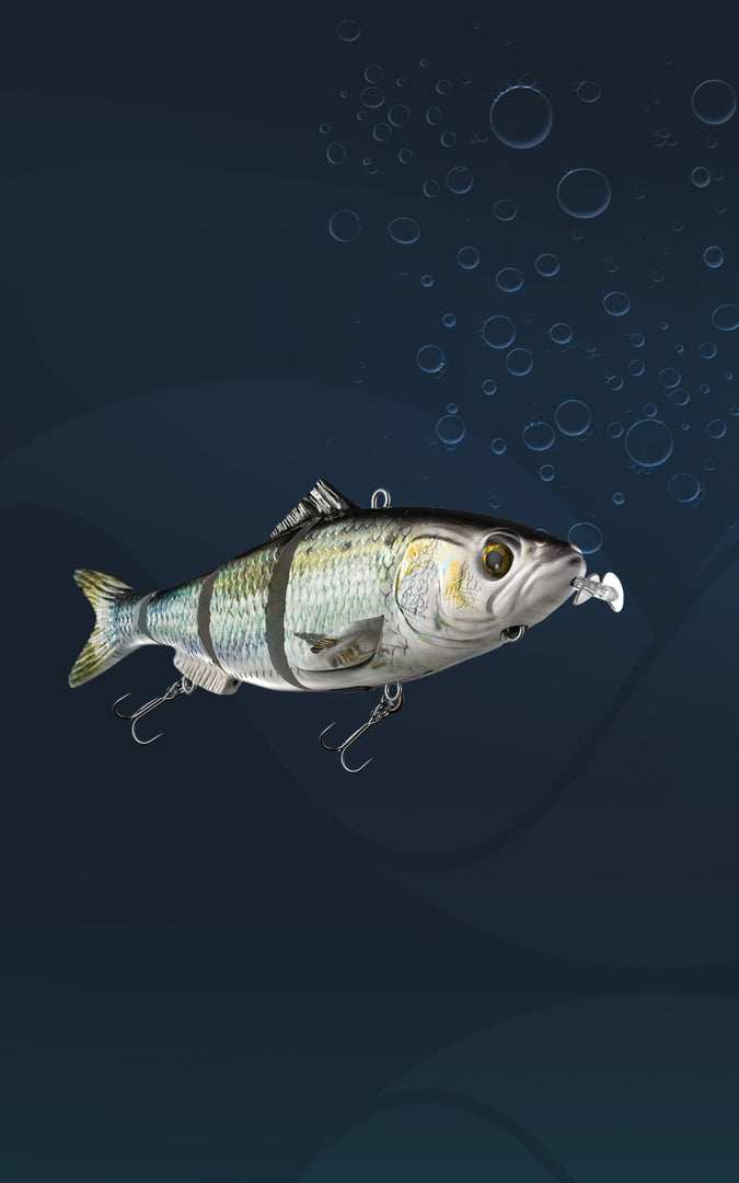 Animated Lure - the world's first self-swimming fishing lure Animated Lure - the world's first self-swimming fishing lure