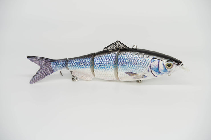 Atlantic Herring Specialty