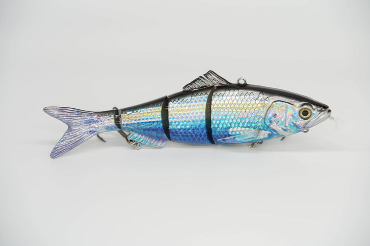 Bigeye Scad Specialty