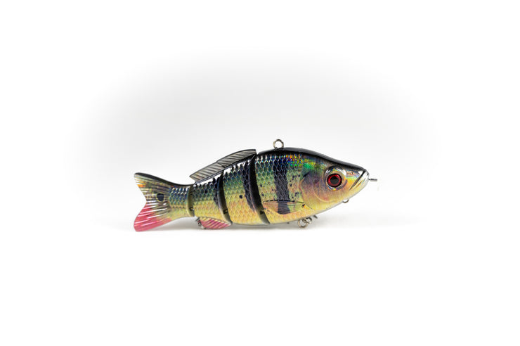 Peacock Bass Specialty