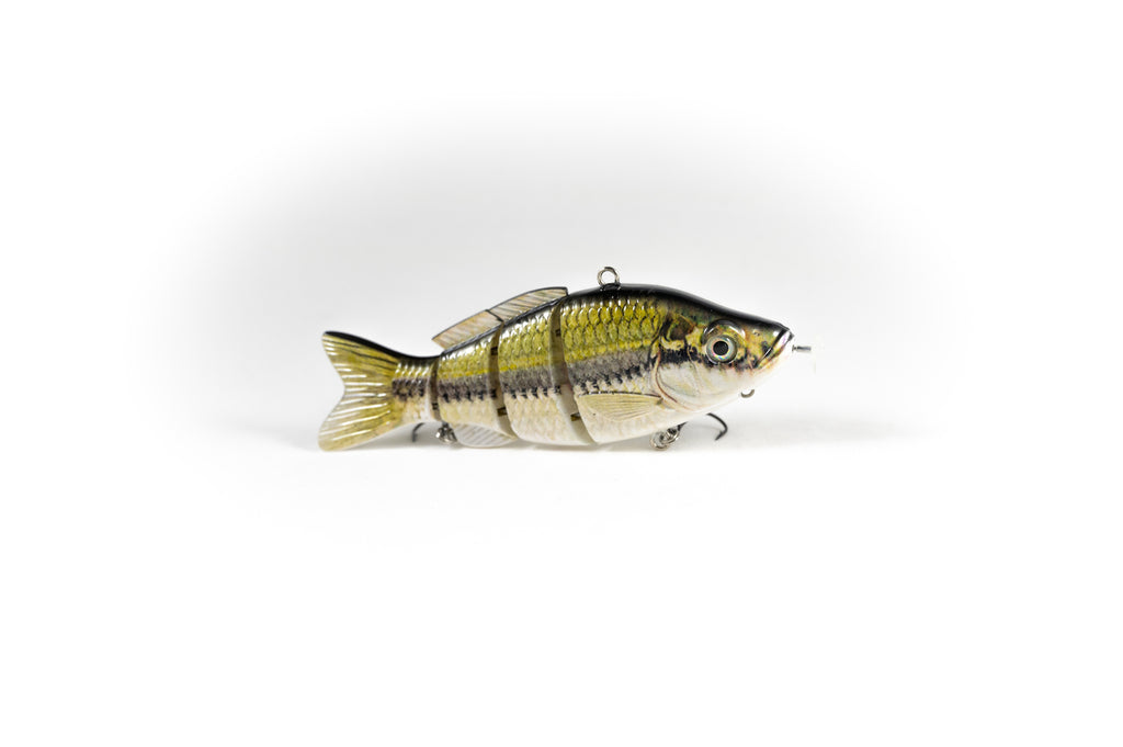 Largemouth Bass – Animated Lure