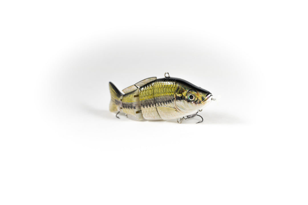 animated lure bass pro shop Largemouth – Model:CAV-5NIISE-MB plump profile Lifelike 3D Abu 507 MK. 1 Saltwater Lure