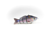Rainbow Trout Specialty