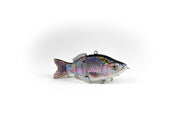 Rainbow Trout Specialty