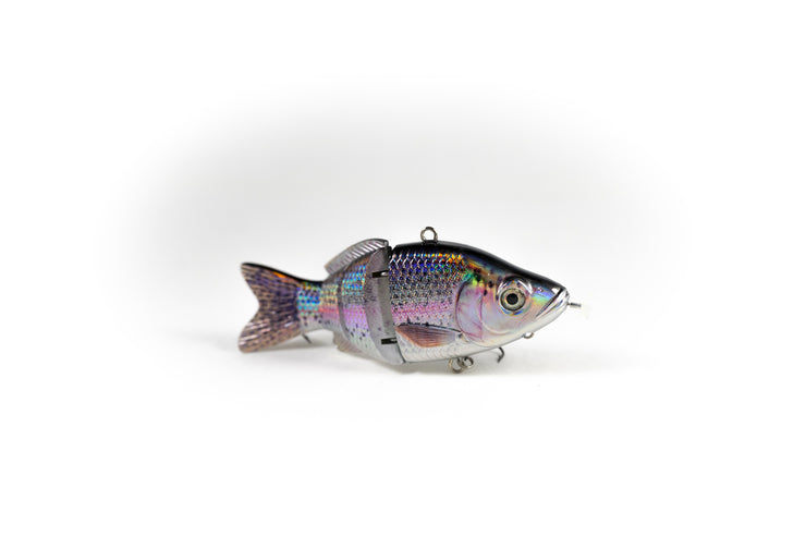 Rainbow Trout Specialty