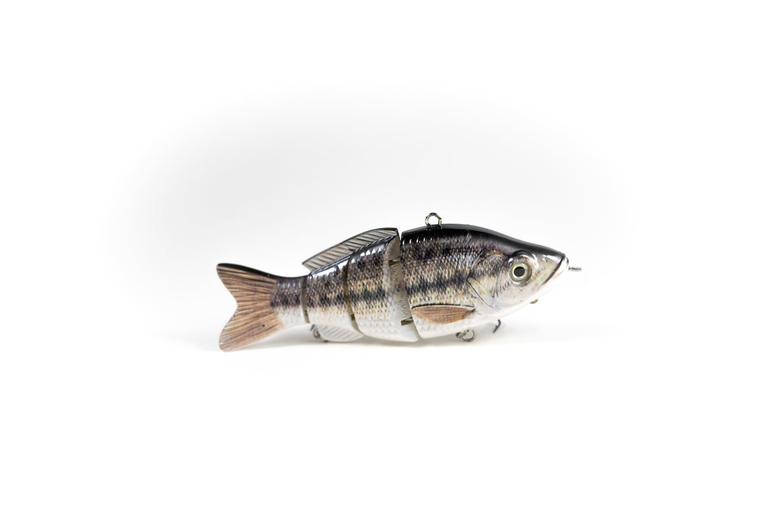 animated lure bass pro shop Bama Frogs striped fishing baits 2.6 Animated Lure Mini -