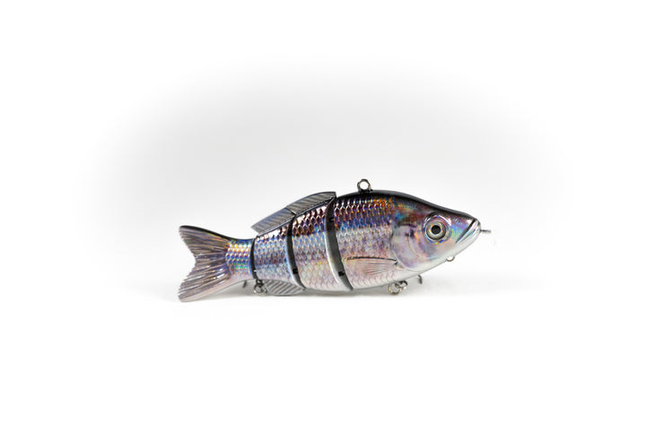 Sand Shiner Specialty – Animated Lure