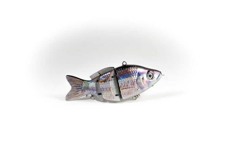 Sand Shiner Specialty