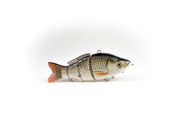 Redtail Chub – Animated Lure Redtail Chub – Animated Lure