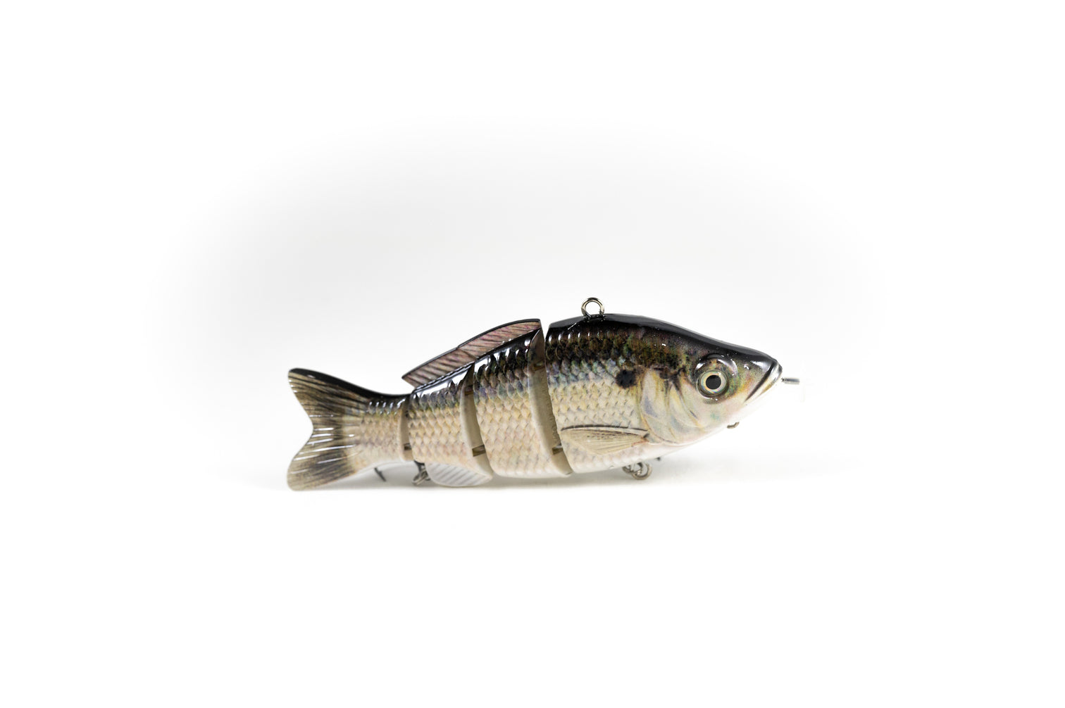 Gizzard Shad – Animated Lure