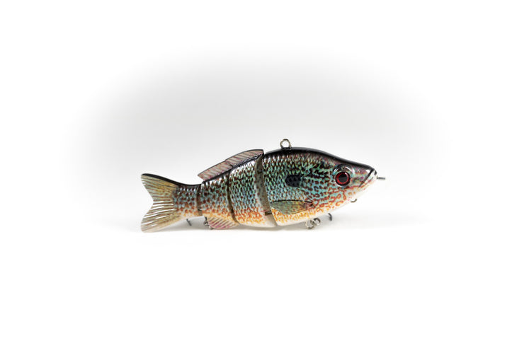 Bluegill