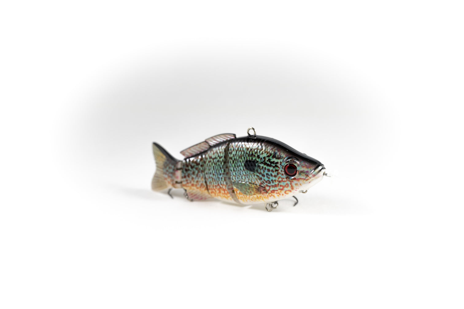 Bluegill – Animated Lure