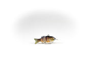 Perch