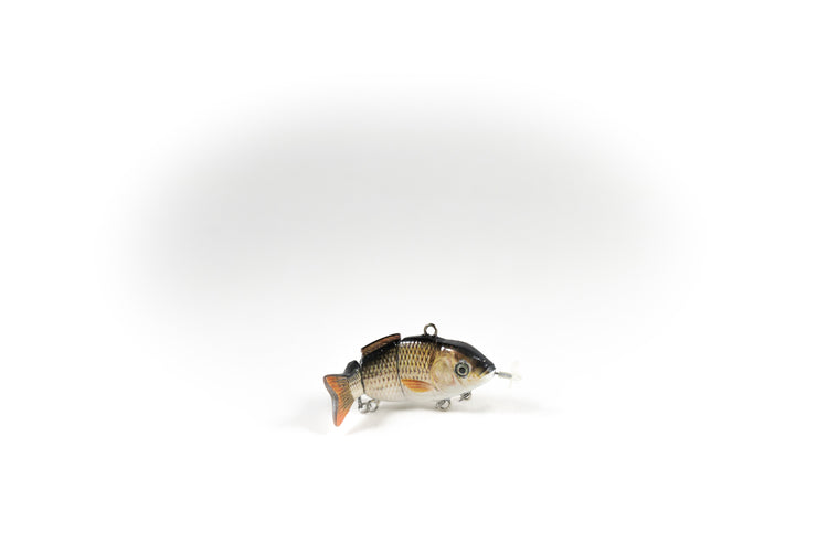 Redtail Chub