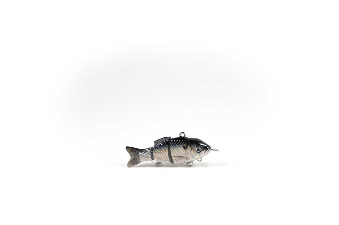 Products Page 2 Animated Lure Products Page 2 Animated Lure