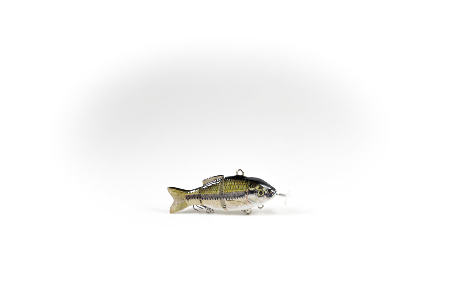 animated lure bass pro shop SPRO Rat 50 / Brown with more details to follow Largemouth Bass specialty