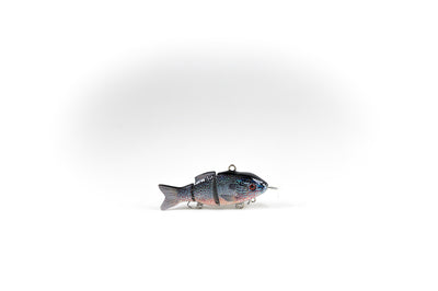 Products – Animated Lure