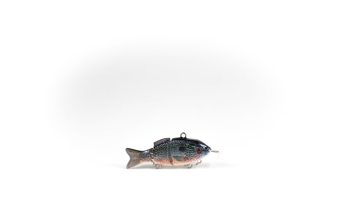 Bluegill
