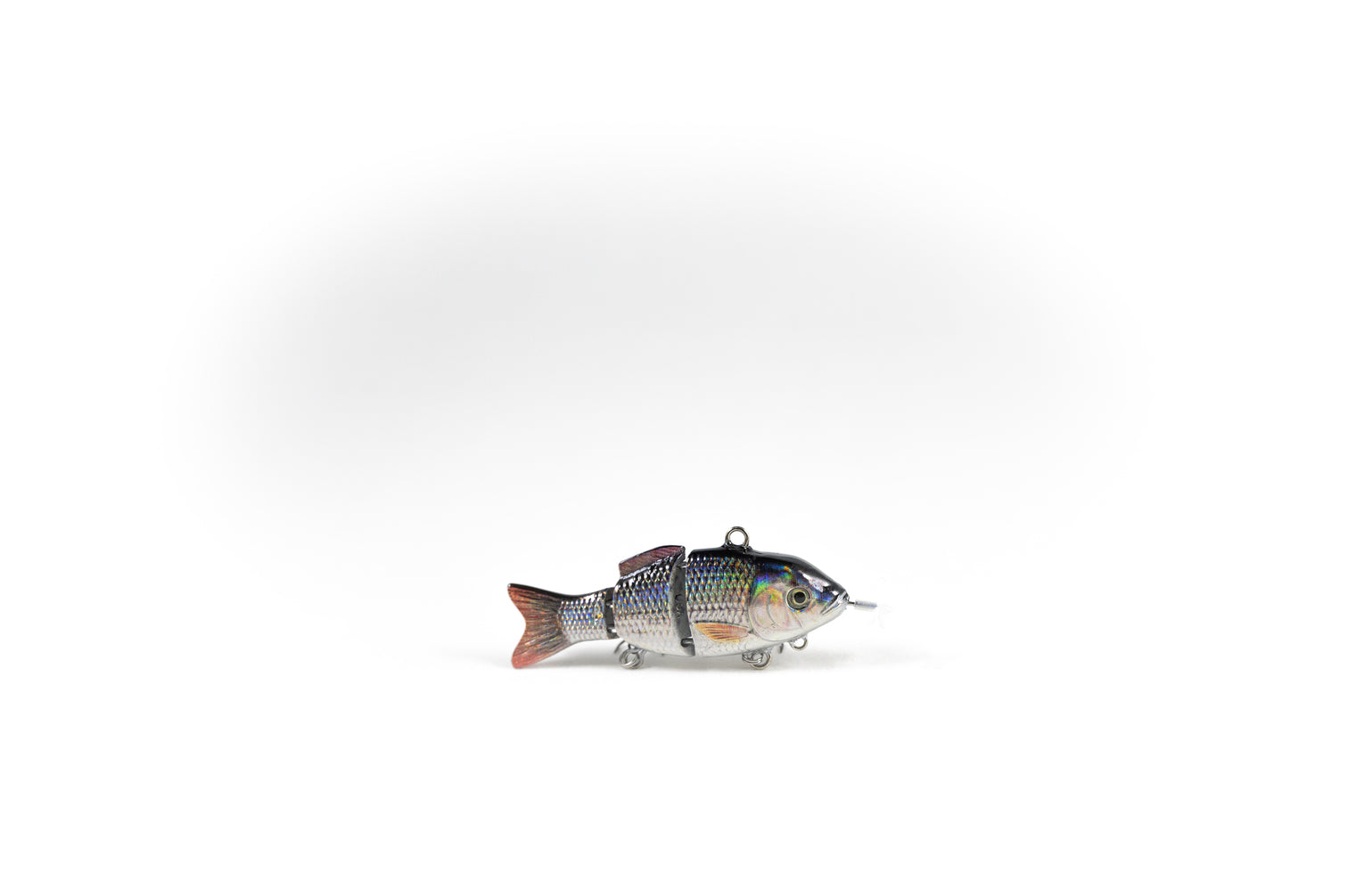 Redtail Chub Specialty – Animated Lure Redtail Chub Specialty – Animated Lure