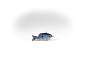 Emerald Shiner Specialty