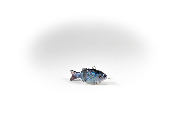 Emerald Shiner Specialty