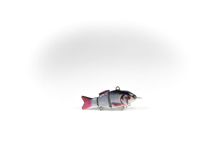 Common Roach Wounded Specialty