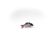 Common Roach Wounded Specialty