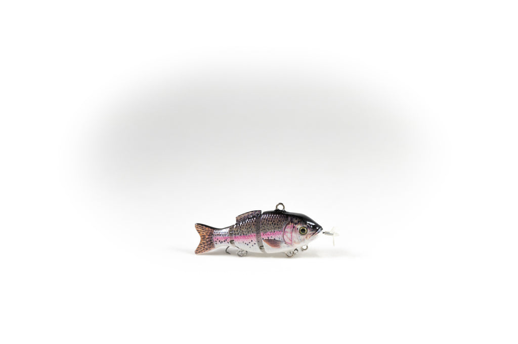 Rainbow Trout – Animated Lure