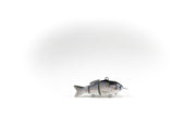 Hybrid Striped Bass Specialty