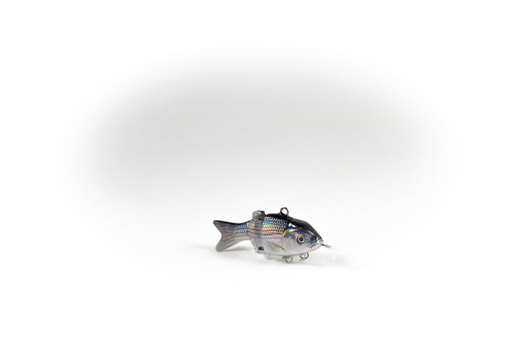 Hybrid Striped Bass Specialty – Animated Lure