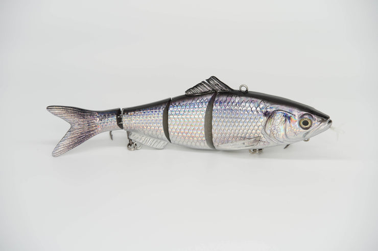 Gizzard Shad Specialty