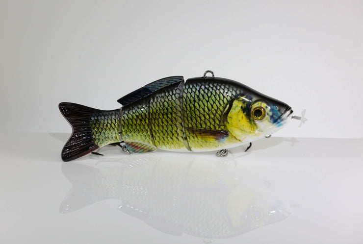 https://www.animatedlure.com/cdn/shop/products/Golden_Shiner-1_740x.jpg?v=1626871238