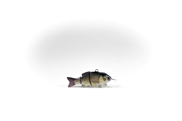 Golden Shiner Specialty