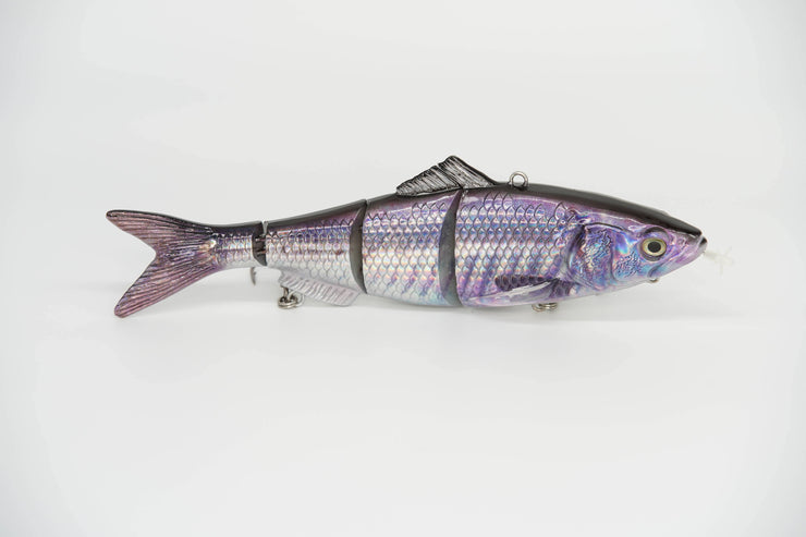 Jack Mackerel Specialty