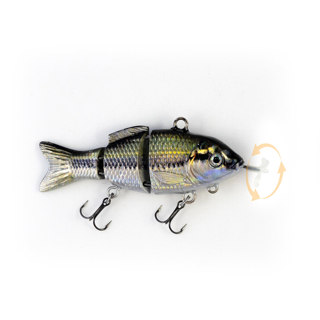 animated bass lure Fishing Bait,Fishing Lures for Trout with Hooks | Freshwater Saltwater Bass Fishing Baits Kit, Gifts for Men : Buy Online at Best Price in KSA Animated Lure (@AnimatedLure) Facebook