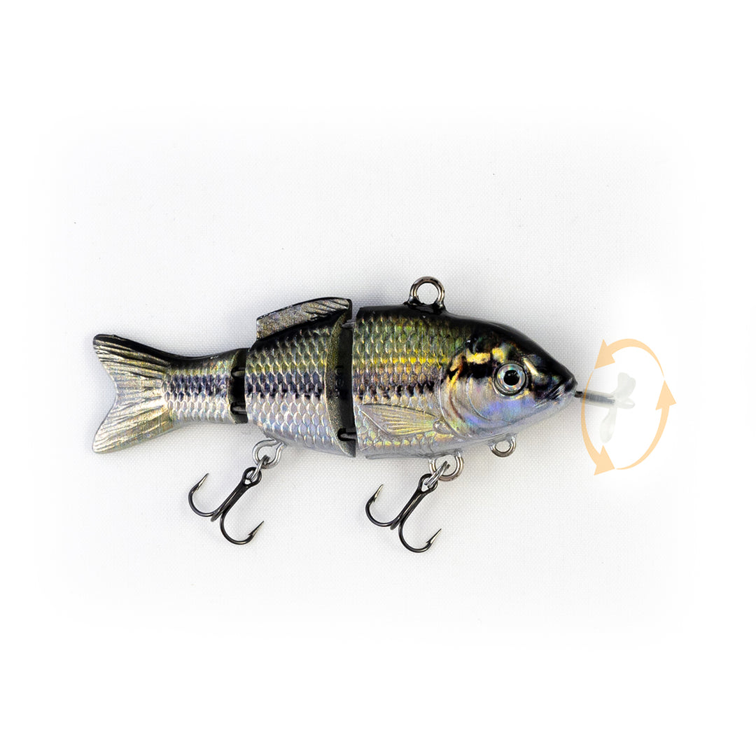 LargemouthBassSpecialty_1080x.
