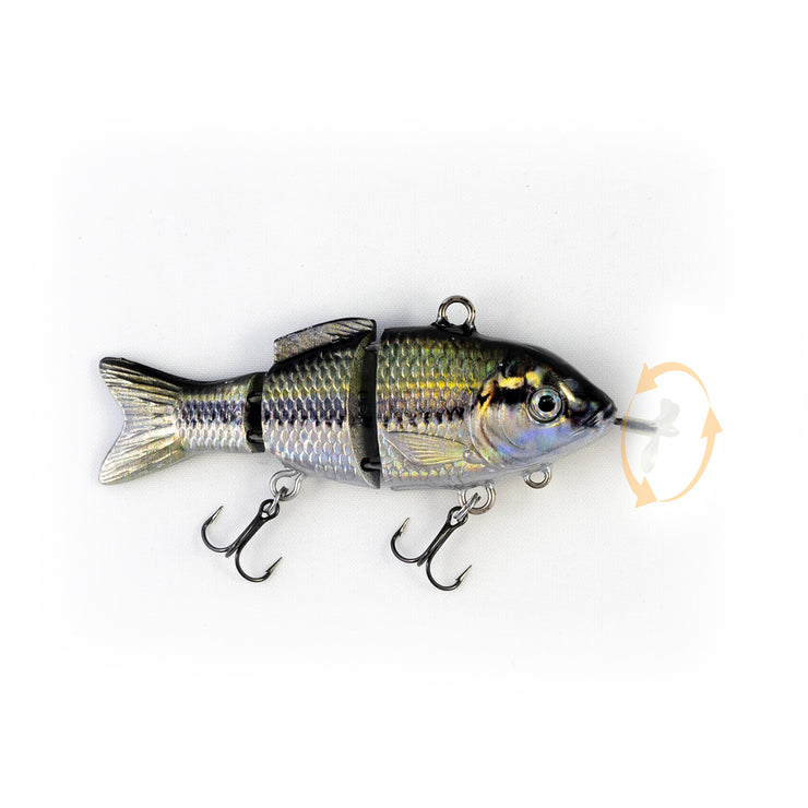 Largemouth Bass Specialty