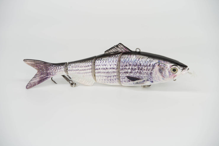Mullet