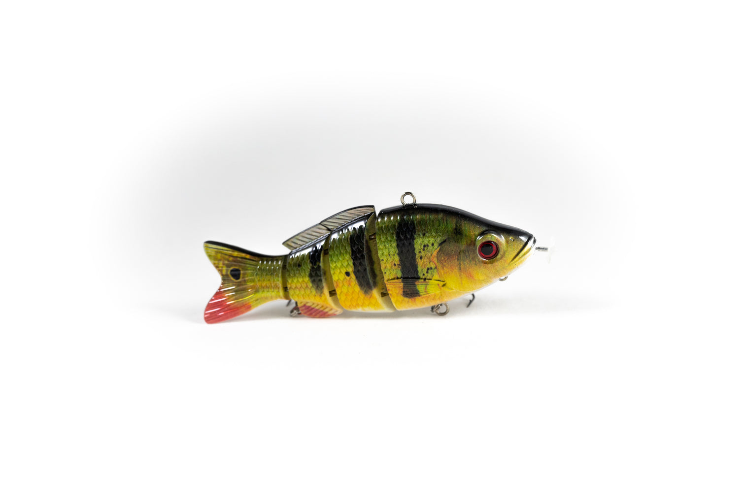 Peacock Bass – Animated Lure