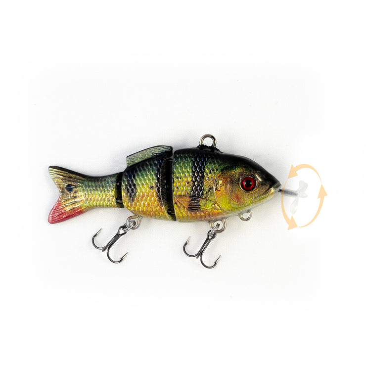 Peacock Bass Specialty – Animated Lure Peacock Bass Specialty – Animated Lure