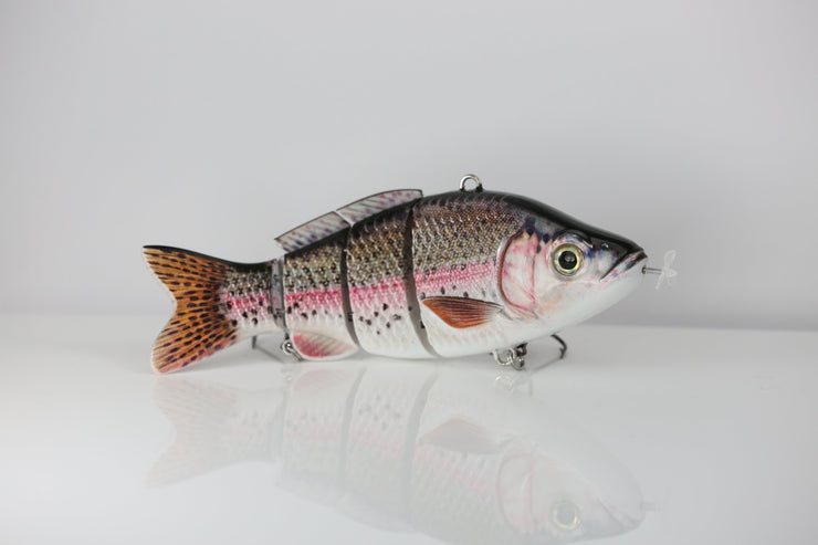 Rainbow Trout