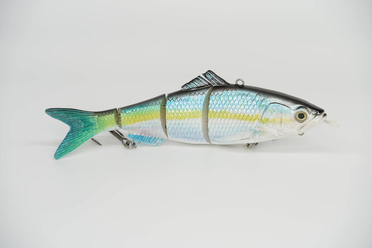 Pacific Mackerel