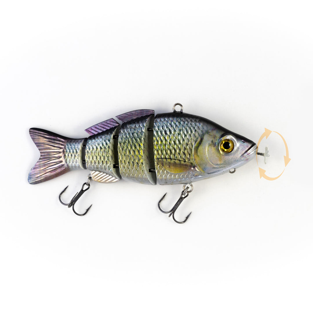 animated fishing lure shark tank Golden Shiner Premium – Animated Lure